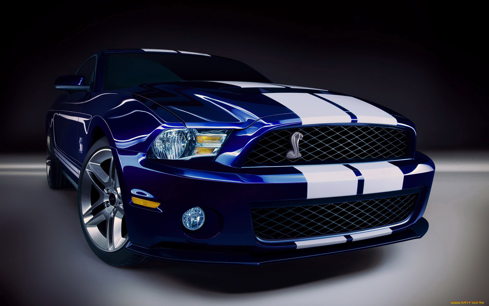 2010, ford, shelby, gt500, 